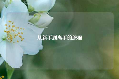 從新手到高手的旅程