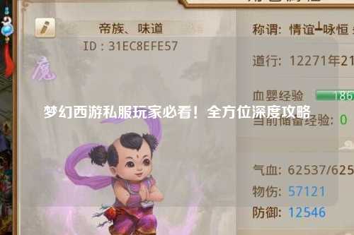 夢(mèng)幻西游私服玩家必看！全方位深度攻略