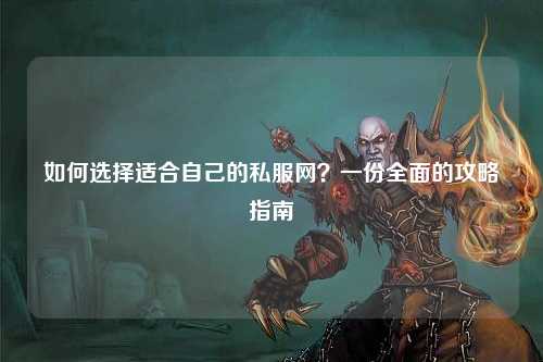 如何選擇適合自己的私服網(wǎng)？一份全面的攻略指南