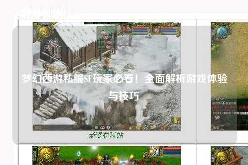 夢(mèng)幻西游私服SF玩家必看！全面解析游戲體驗與技巧
