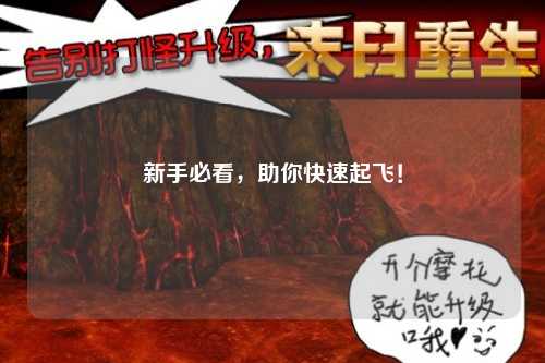 新手必看，助你快速起飛！