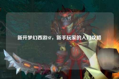 新開(kāi)夢(mèng)幻西游SF，新手玩家的入門(mén)攻略