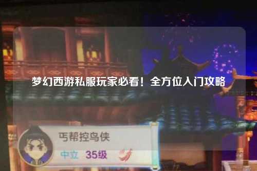 夢(mèng)幻西游私服玩家必看！全方位入門(mén)攻略