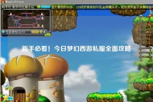 新手必看！今日夢(mèng)幻西游私服全面攻略