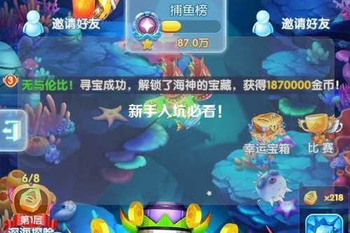 新手入坑必看！