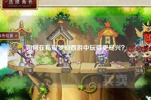 如何在私服夢(mèng)幻西游中玩得更盡興？