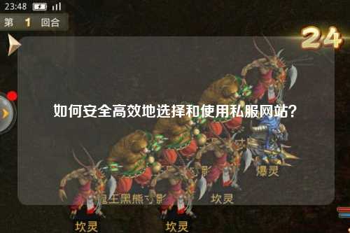 如何安全高效地選擇和使用私服網(wǎng)站？