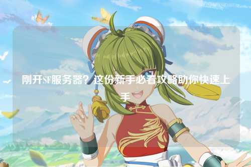 剛開(kāi)SF服務(wù)器？這份新手必看攻略助你快速上手