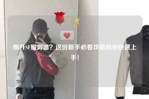 剛開(kāi)SF服務(wù)器？這份新手必看攻略助你快速上手！