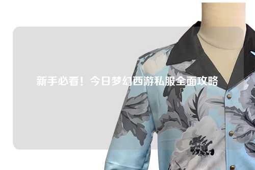 新手必看！今日夢(mèng)幻西游私服全面攻略