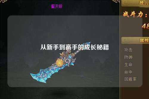 從新手到高手的成長(cháng)秘籍