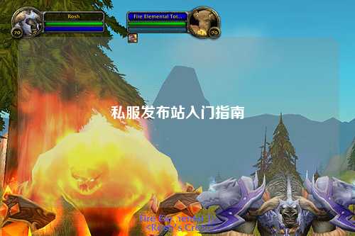 私服發(fā)布站入門(mén)指南
