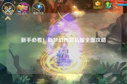 新手必看！新夢(mèng)幻西游私服全面攻略